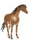 Single Horse Wall Stencil | 1176 by Designer Stencils | Animal & Nature Stencils | Reusable Art Craft Stencils for Painting on Walls, Canvas, Wood | Reusable Plastic Paint Stencil for Home Makeover | Easy to Use & Clean Art Stencil